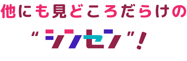 他にも見どころだらけのシンセン